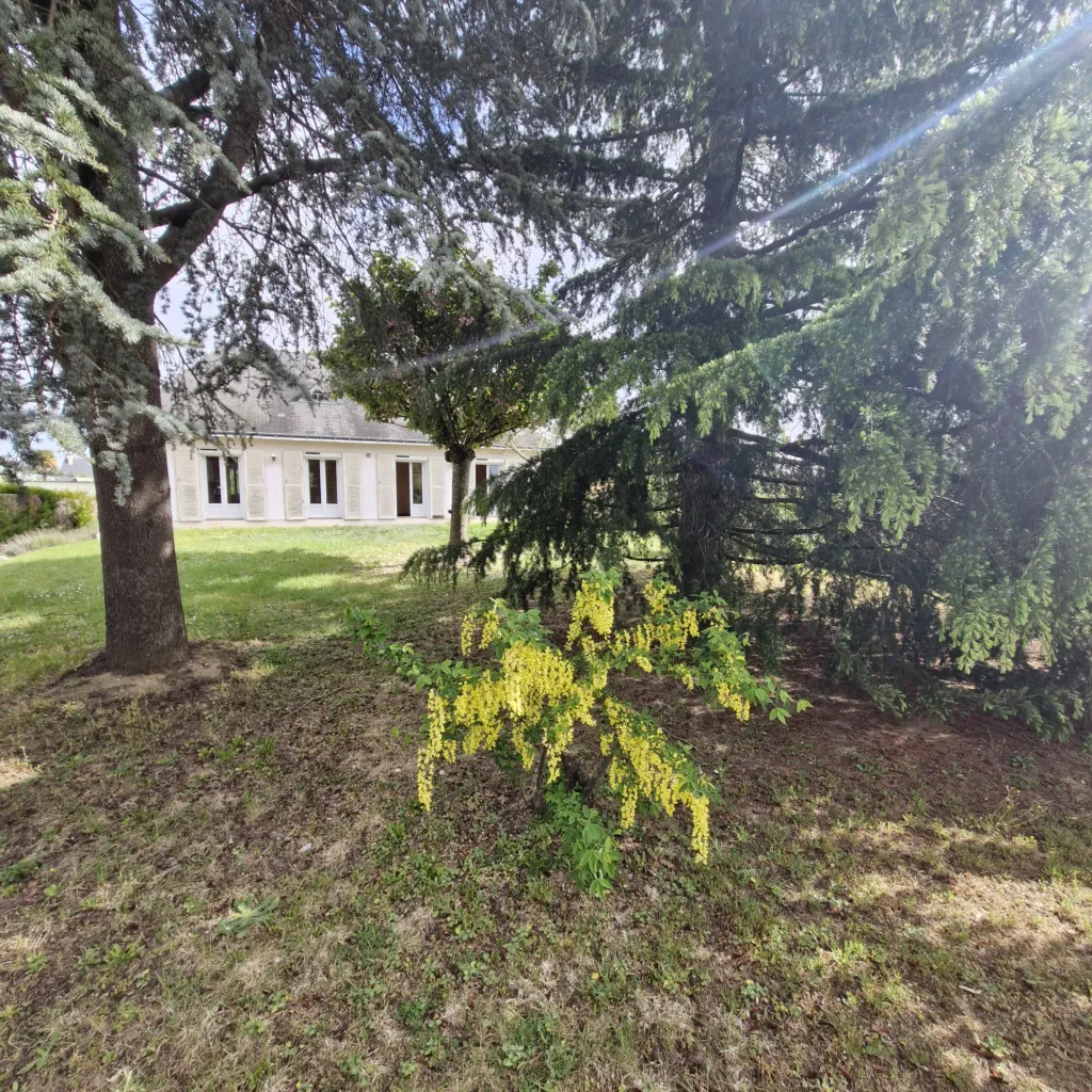 achat maison Angers